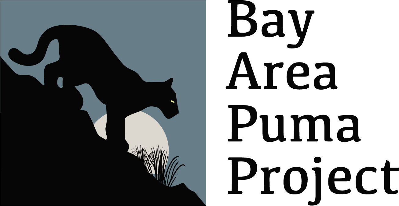 Logo depicts an illustrated puma silhouette, crouching down on a hill in front of a dusty blue sky and a partially obscured moon. Text reads