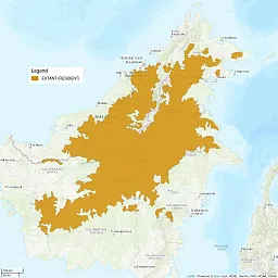 Image shows a close up of the island of Borneo. Most of the island is shaded as "extant" or resident range for the Bay Cat.