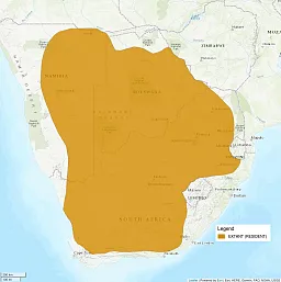 Image shows a map of Southern Africa, with most of South Africa, Botswana, and Namibia shaded in as areas where the black-footed cat is a resident.