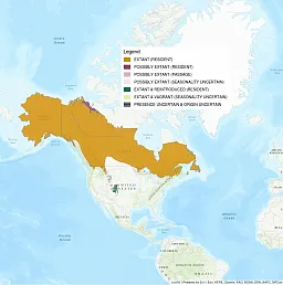 Image shows the distribution map for the Canada Lynx. Almost all of Canada is shaded in, as well as some the northern US and all of Alaska.