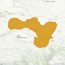 This distribution map is zoomed in closely to the Chinese-Mongolian border. A small area is shaded in where this cat is a resident.