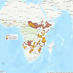 Distribution map centers on Africa. The range of the lion is clearly very fragmented and reduced, showing only some splotches here and there in central Africa and some Southern Africa. The range is shaded as extant, or resident, but is surrounded by large swaths of striped red, showing where the lion is possibly extinct from its former range.