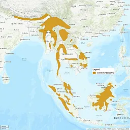 Map shows South East Asia, with fragmented regions filled in from Nepal all the way down into Indonesia, showing where the marbled cat is extant (or resident).