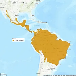 The distribution map centers on Central and South America. There is a large region of South America shaded in, from Porto Alegre and going north all the way up through the coasts of Mexico.