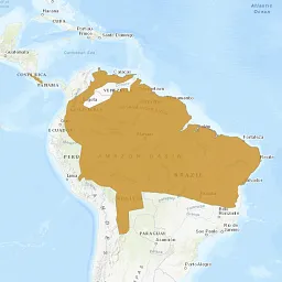 Map is centered on South America. Most of the northern half of the continent is shaded in, indicating that the oncilla is extant, or resident, in these areas.