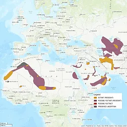 Distribution map shows a very scattered and limited shading of the deserts in Northern Africa as well as the Middle East.